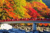 香嵐渓イメージ
